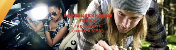 винт Армянск