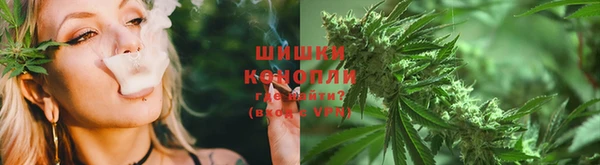 прущие крисы Арсеньев