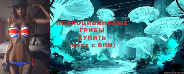 прущие крисы Аркадак