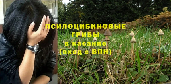 прущие крисы Аркадак