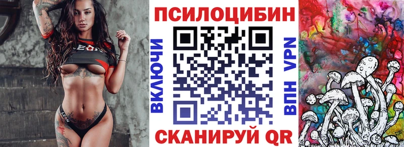 Галлюциногенные грибы Psilocybe  как найти   Сольцы 